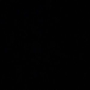 Meet your Posher, Damian